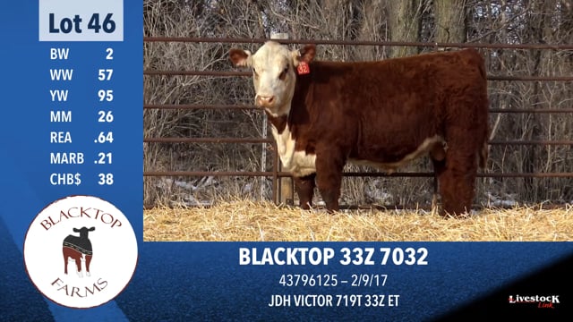 Lot #46 - BLACKTOP 33Z 7032