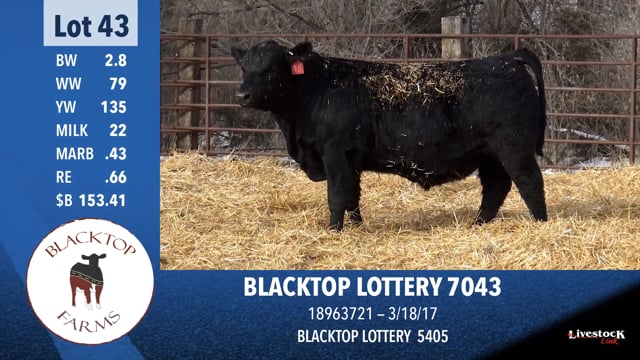 Lot #43 - BLACKTOP LOTTERY 7043