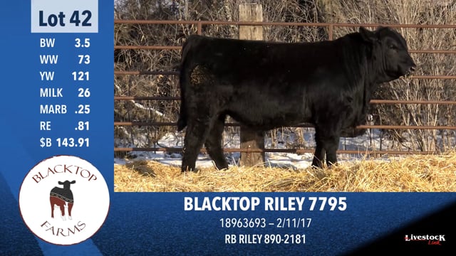 Lot #42 - BLACKTOP RILEY 7795