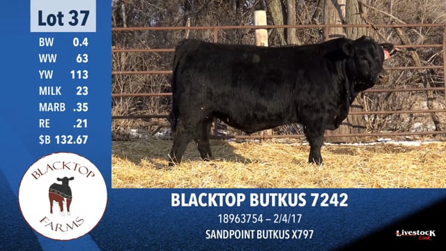 Lot #37 - BLACKTOP BUTKUS 7242