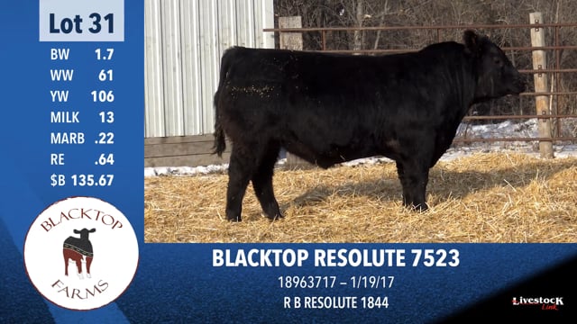 Lot #31 - BLACKTOP RESOLUTE 7523