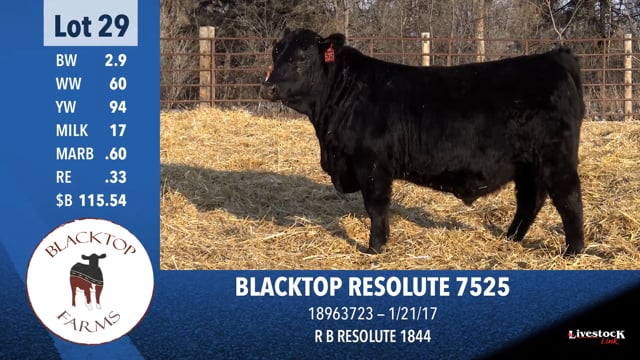 Lot #29 - BLACKTOP RESOLUTE 7525