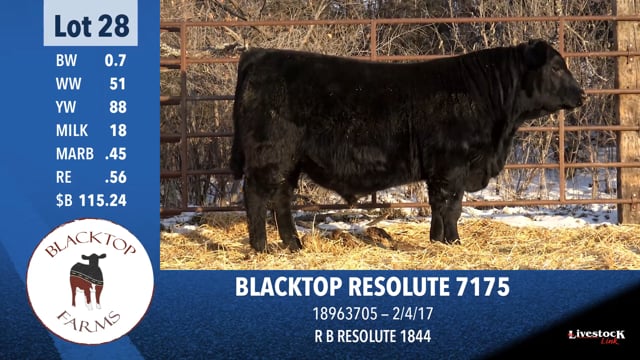 Lot #28 - BLACKTOP RESOLUTE 7175