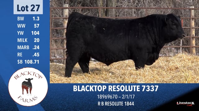 Lot #27 - BLACKTOP RESOLUTE 7337