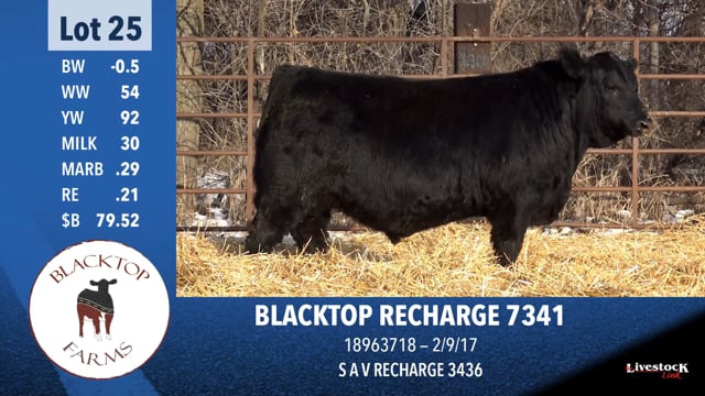 Lot #25 - BLACKTOP RECHARGE 7341