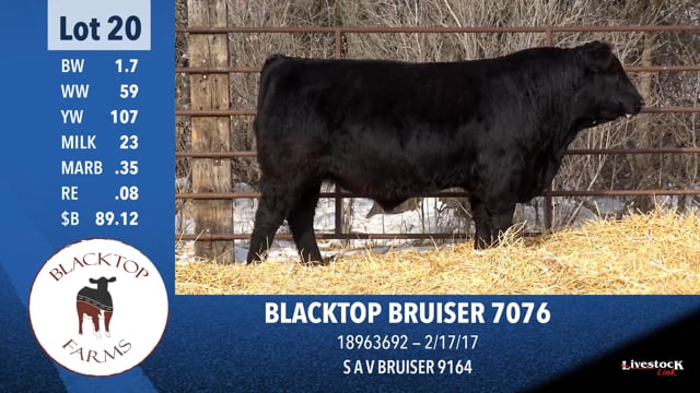Lot #20 - BLACKTOP BRUISER 7076