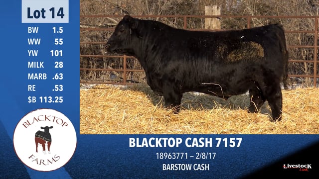 Lot #14 - BLACKTOP CASH 7157