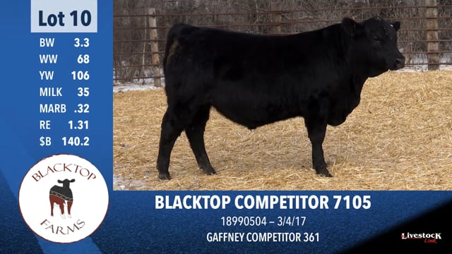 Lot #10 - BLACKTOP COMPETITOR 7105
