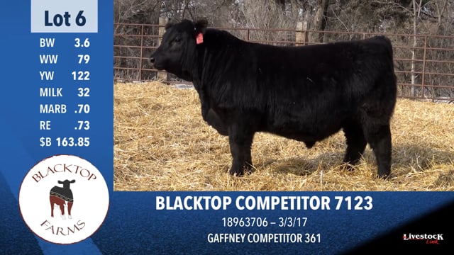 Lot #6 - BLACKTOP COMPETITOR 7123