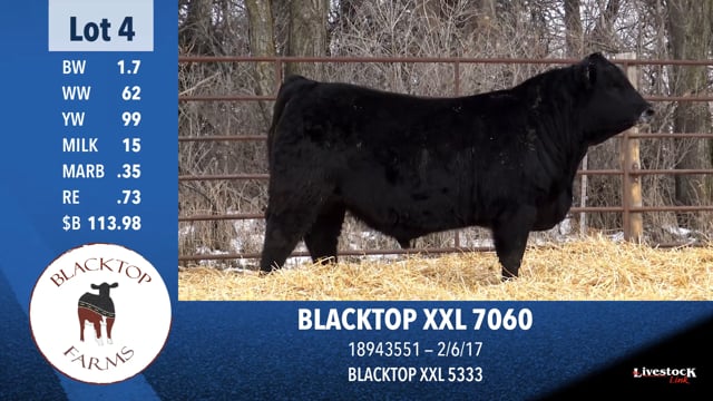Lot #4 - BLACKTOP XXL 7060