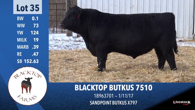 Lot #35 - BLACKTOP BUTKUS 7510