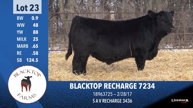 Lot #23 - BLACKTOP RECHARGE 7234