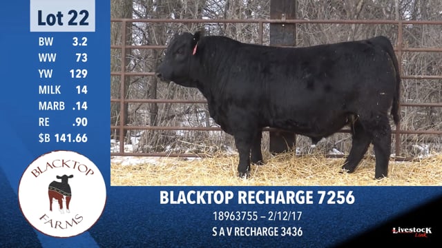 Lot #22 - BLACKTOP RECHARGE 7256