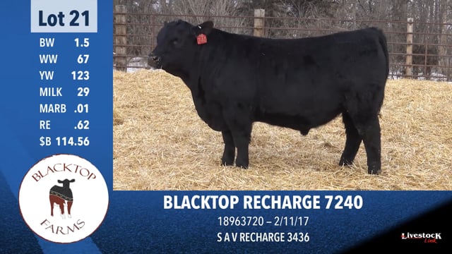 Lot #21 - BLACKTOP RECHARGE 7240