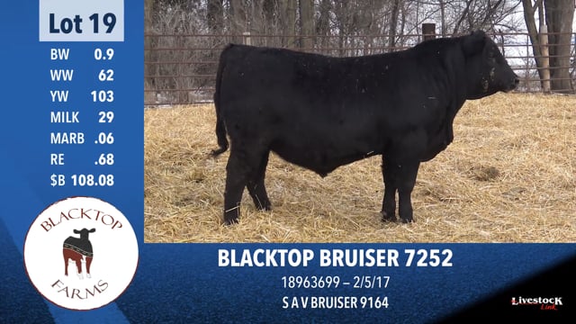 Lot #19 - BLACKTOP BRUISER 7252