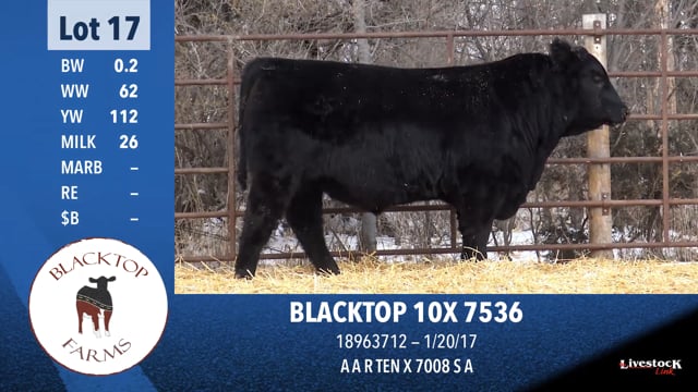 Lot #17 - BLACKTOP 10X 7536