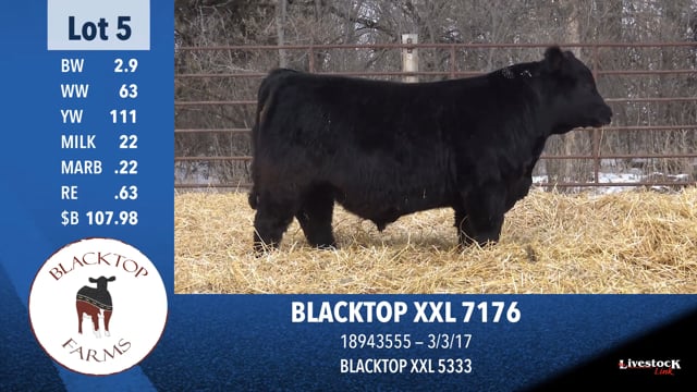 Lot #5 - BLACKTOP XXL 7176