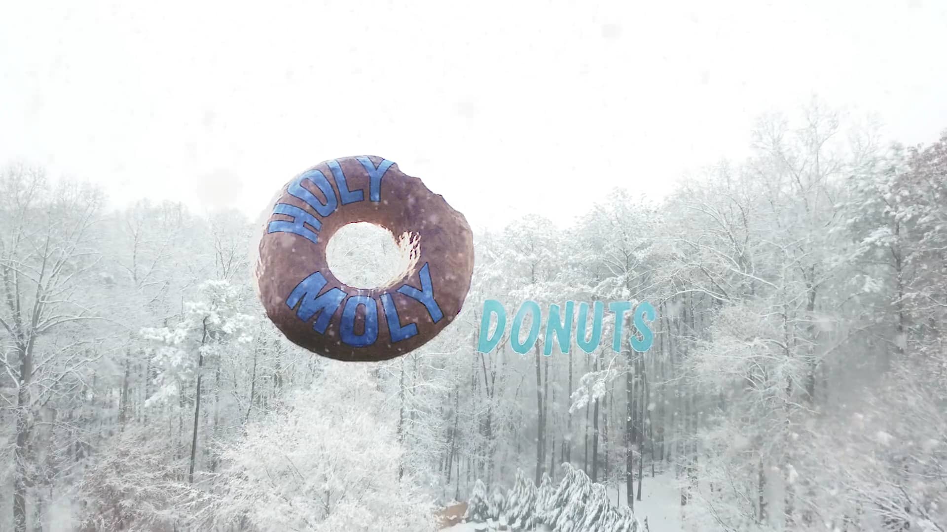 Holy Moly Donuts Shop on Vimeo