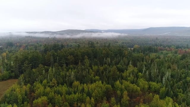 America's Last Vast Forest: Maine's Appalachian Mountain Corridor