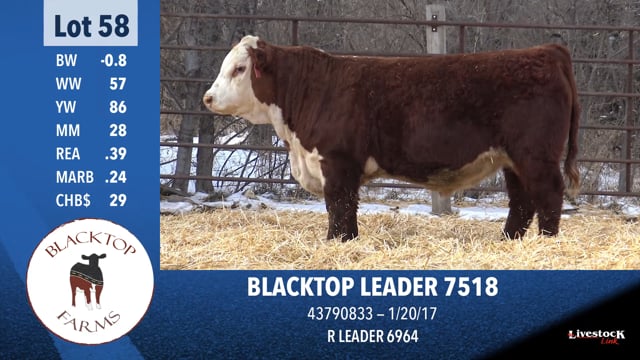 Lot #58 - BLACKTOP LEADER 7518