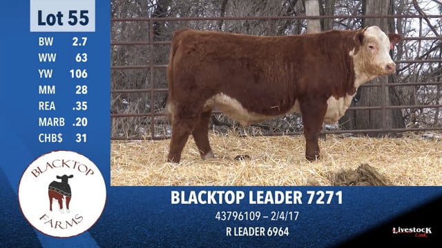Lot #55 - BLACKTOP LEADER 7271