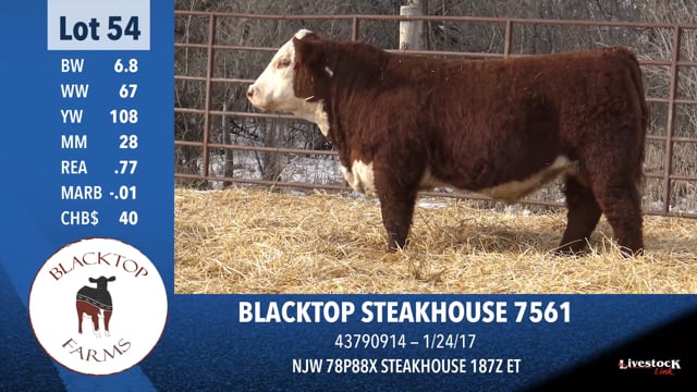 Lot #54 - BLACKTOP STEAKHOUSE 7561
