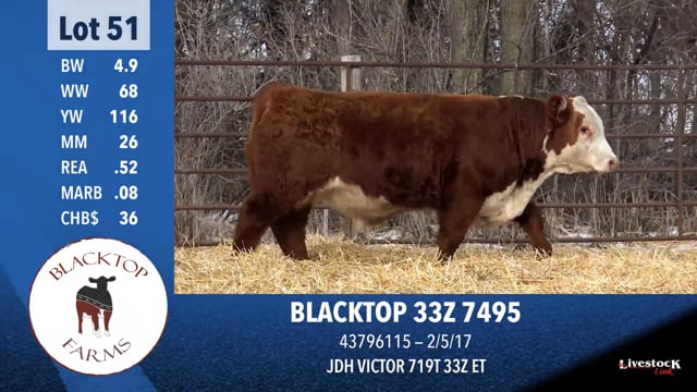 Lot #51 - BLACKTOP 33Z 7495