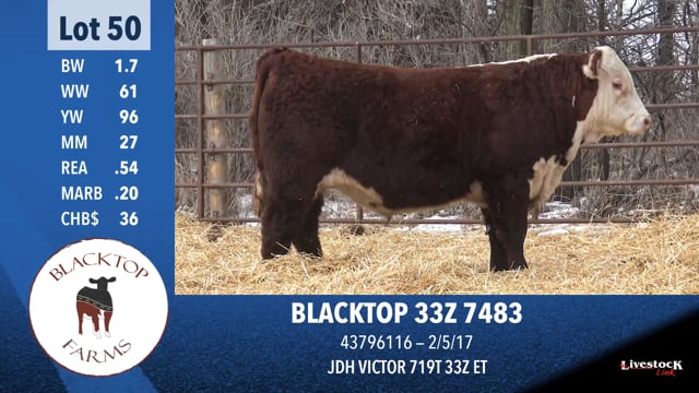 Lot #50 - BLACKTOP 33Z 7483