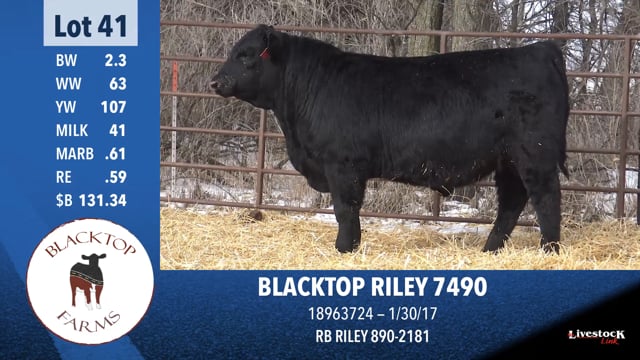 Lot #41 - BLACKTOP RILEY 7490
