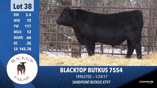 Lot #38 - BLACKTOP BUTKUS 7554