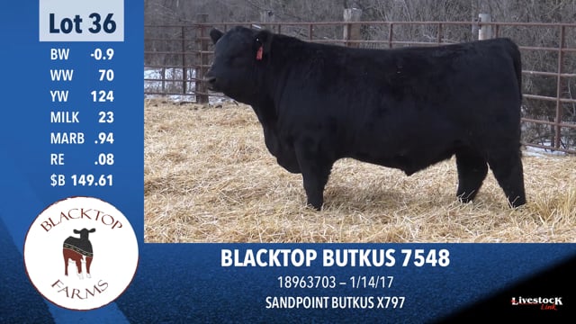 Lot #36 - BLACKTOP BUTKUS 7548