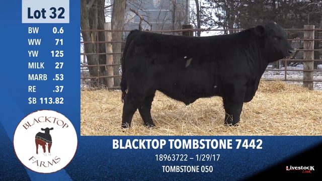 Lot #32 - BLACKTOP TOMBSTONE 7442