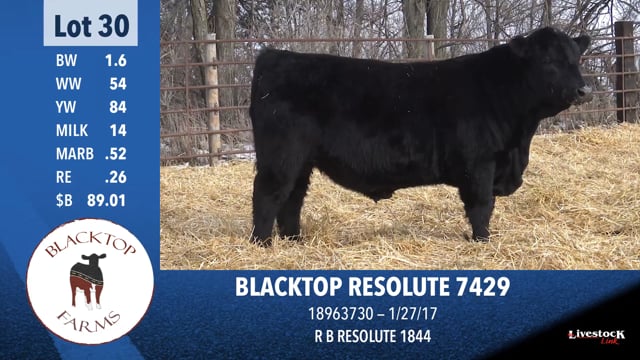 Lot #30 - * OUT * BLACKTOP RESOLUTE 7429