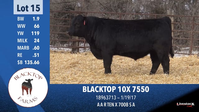 Lot #15 - BLACKTOP 10X 7550