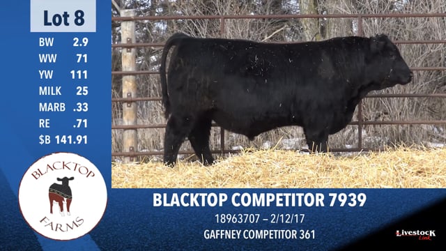 Lot #8 - BLACKTOP COMPETITOR 7939
