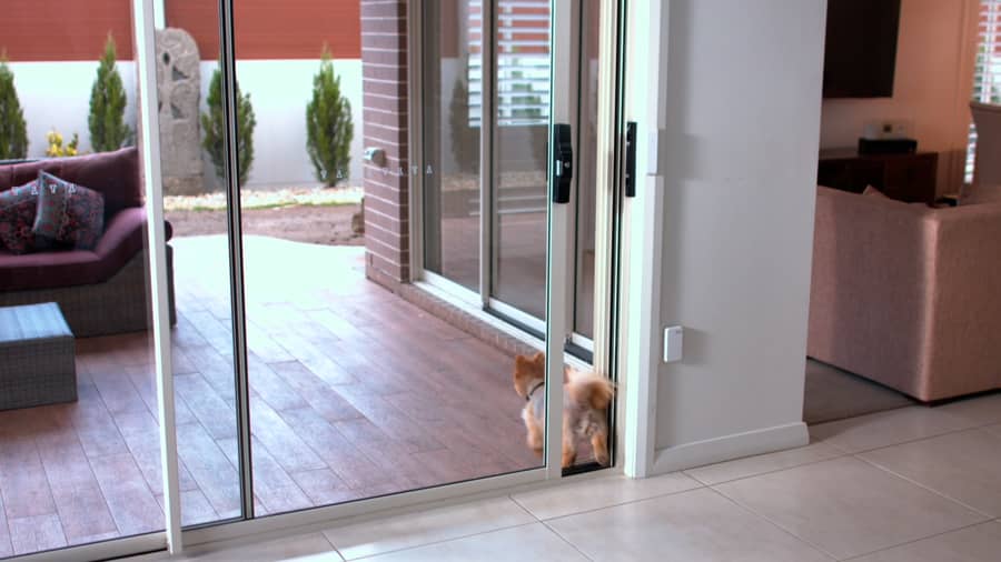 cat flap in glass patio door,Limited Time Offer,avarolkar.in