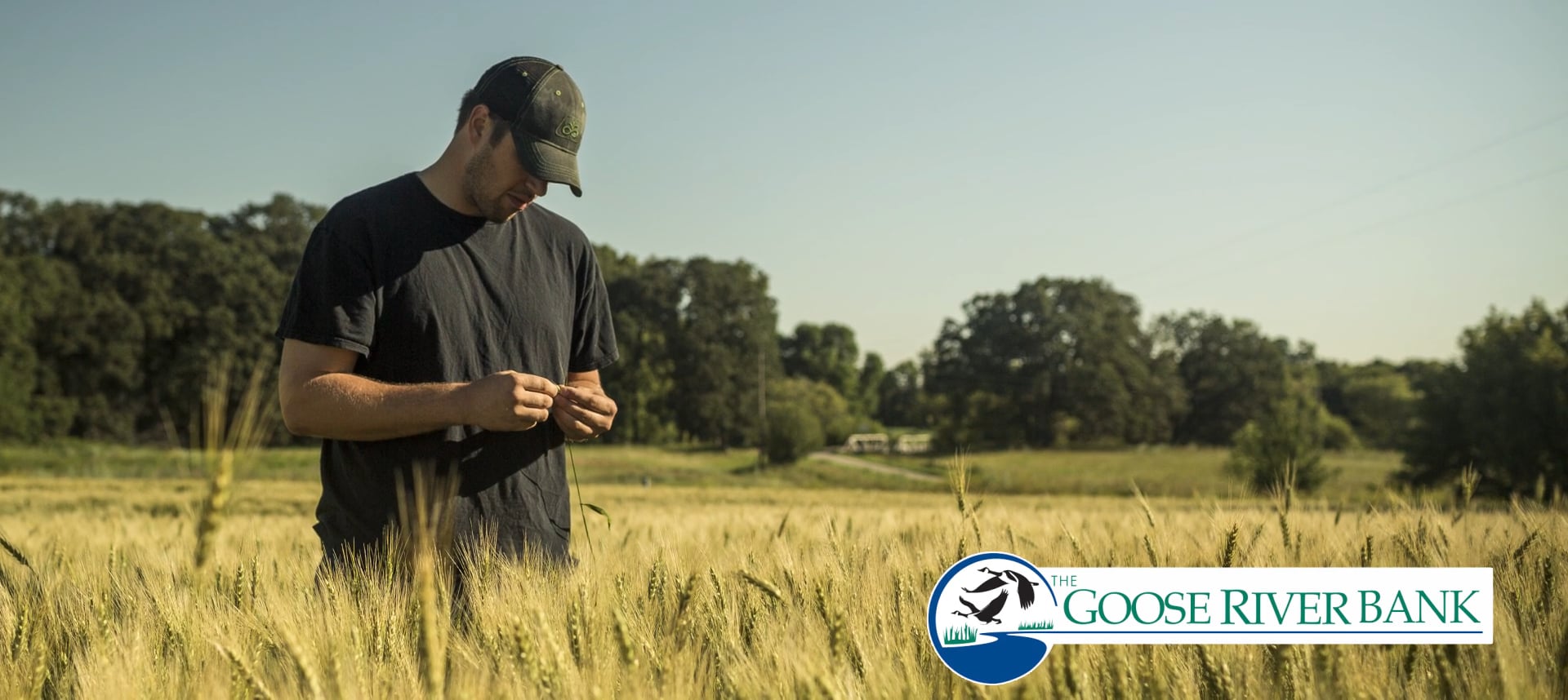 Goose River Bank 1.31.18 Mayville, ND on Vimeo
