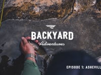 Backyard Adventures: Asheville, NC