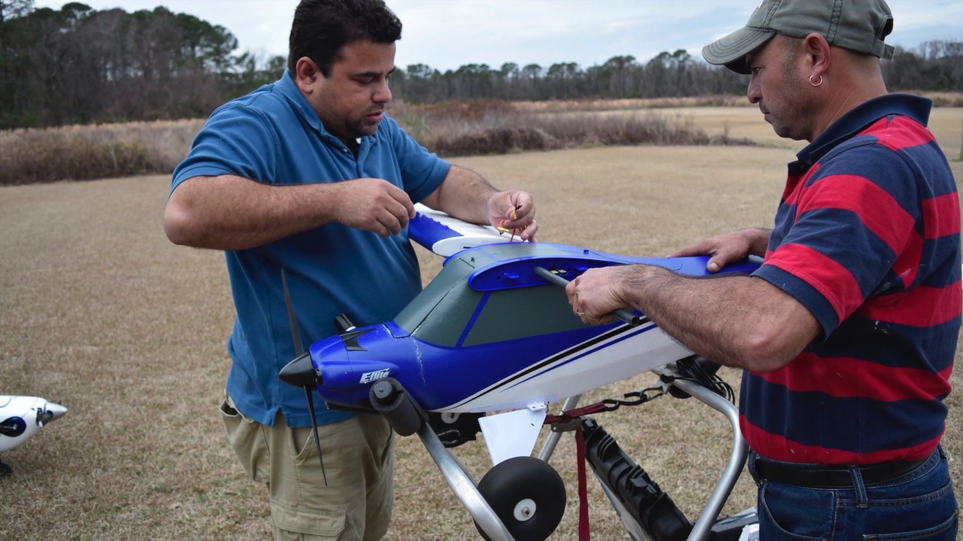 SCORPION VIDEO 12718