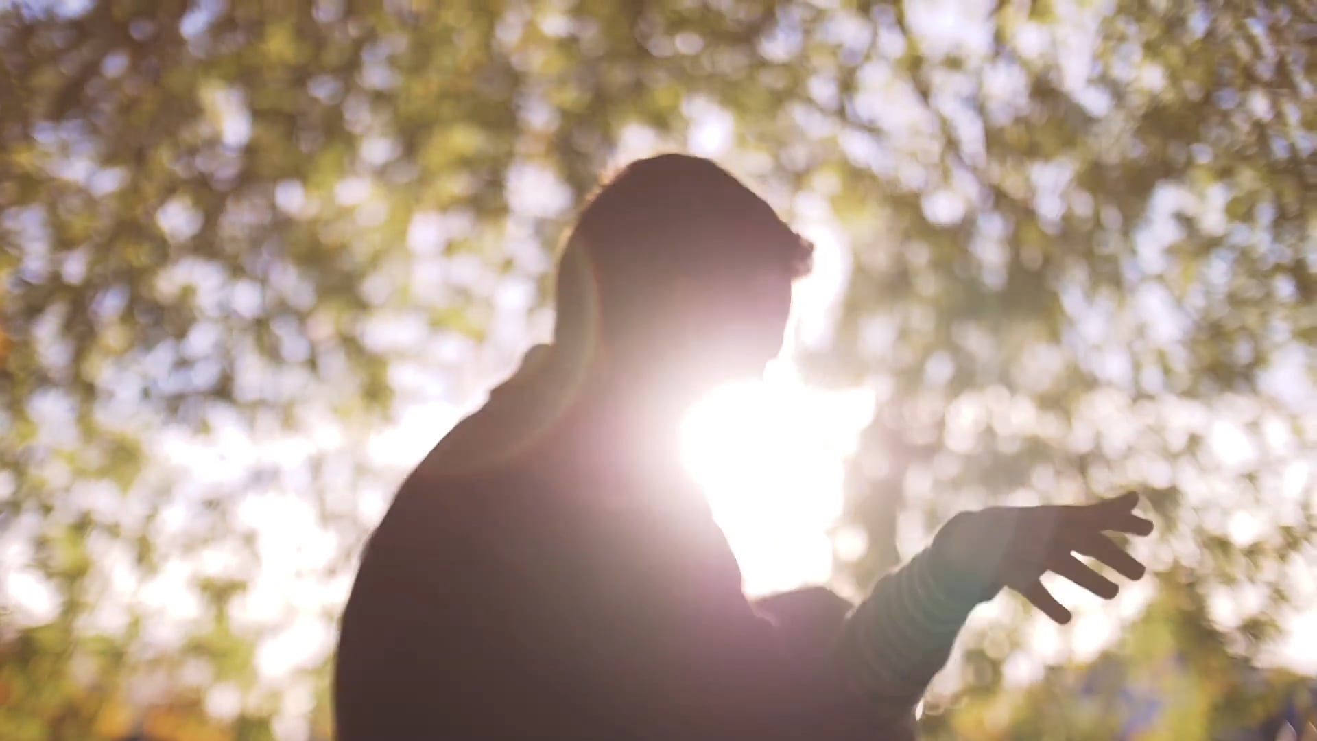 MIRALIS - CRÉATEUR D'ÉMOTIONS - NOVEMBRE 2017.