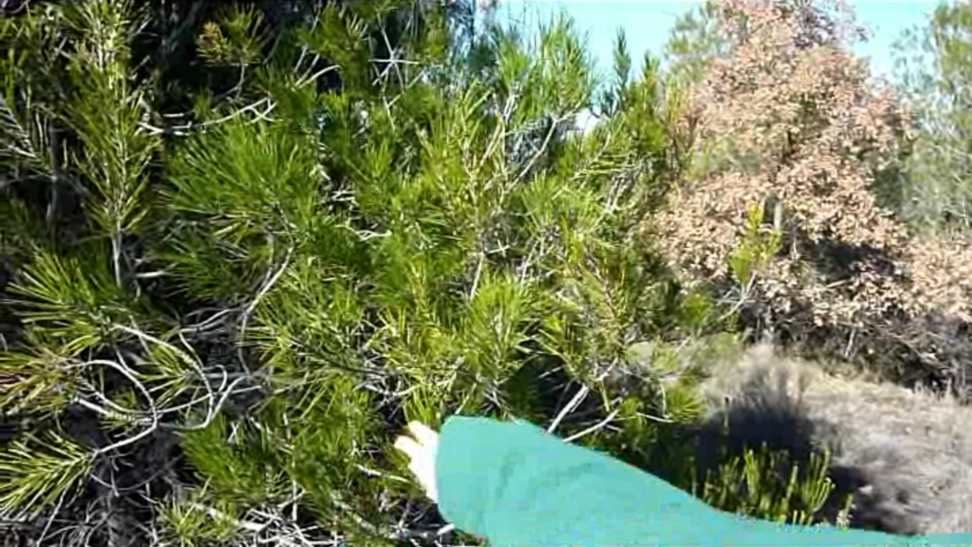 Retrat de River Park