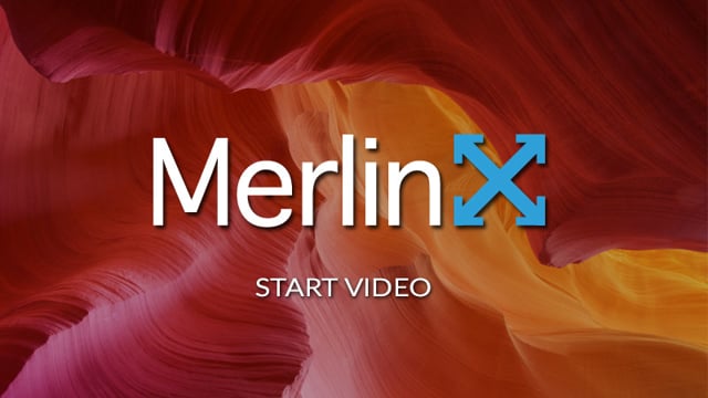 MerlinX