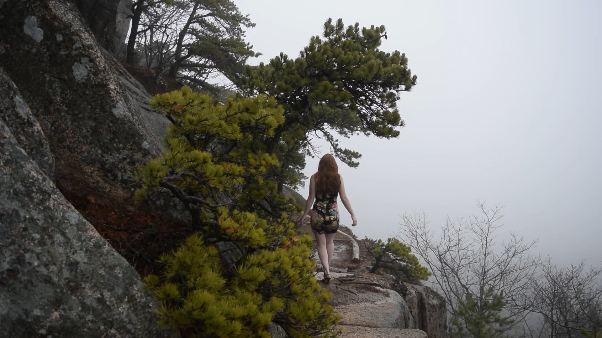 Ladylike, Climbing