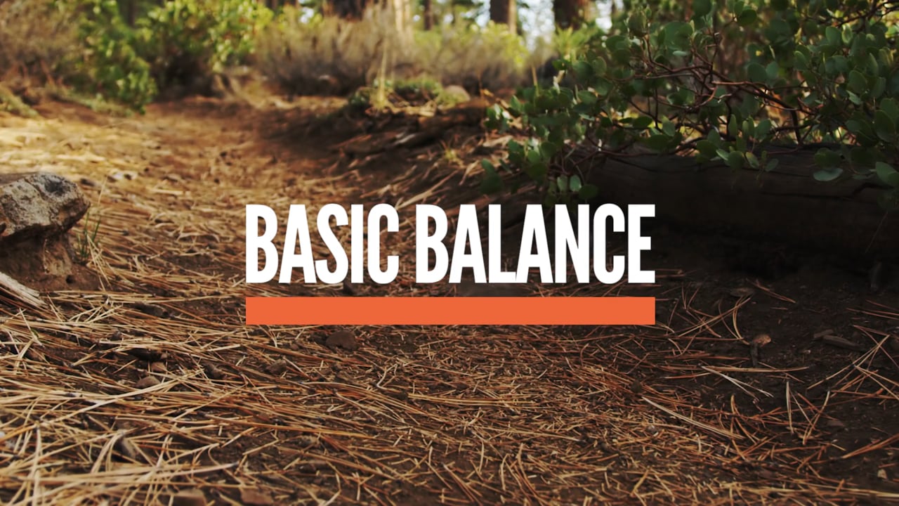 Basic Balance