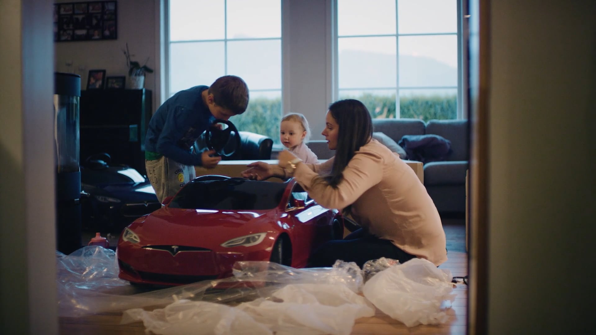 Tesla - 20 Referrals and Counting