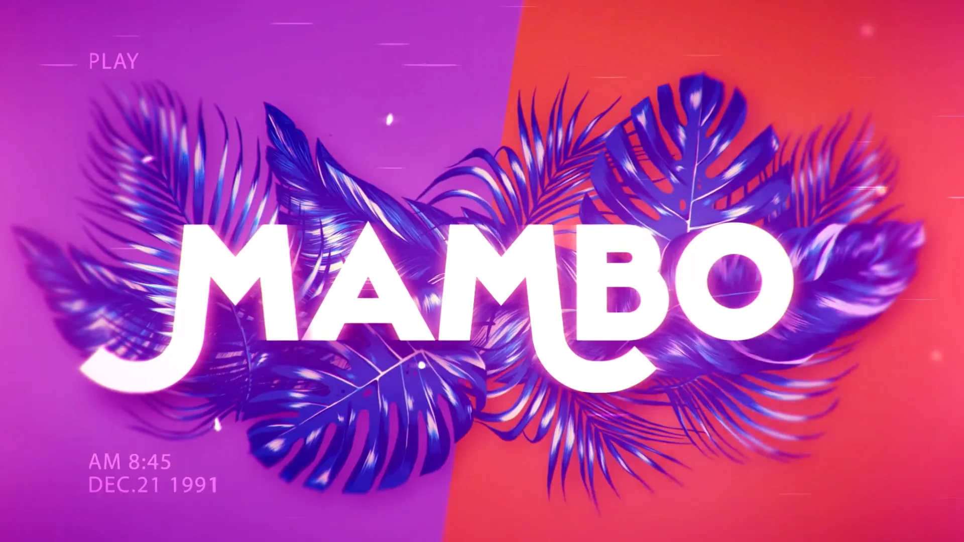 MAMBO_playz on Vimeo