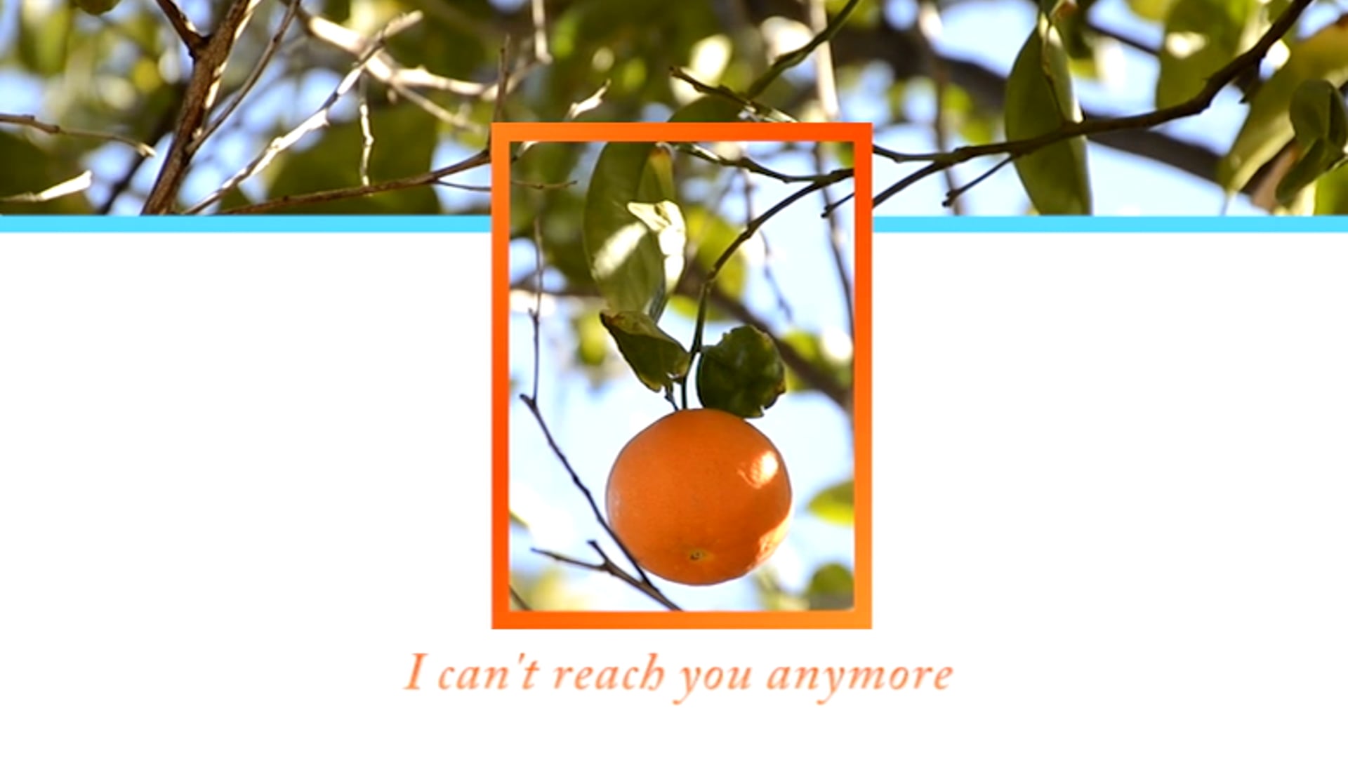 Orange, 2018