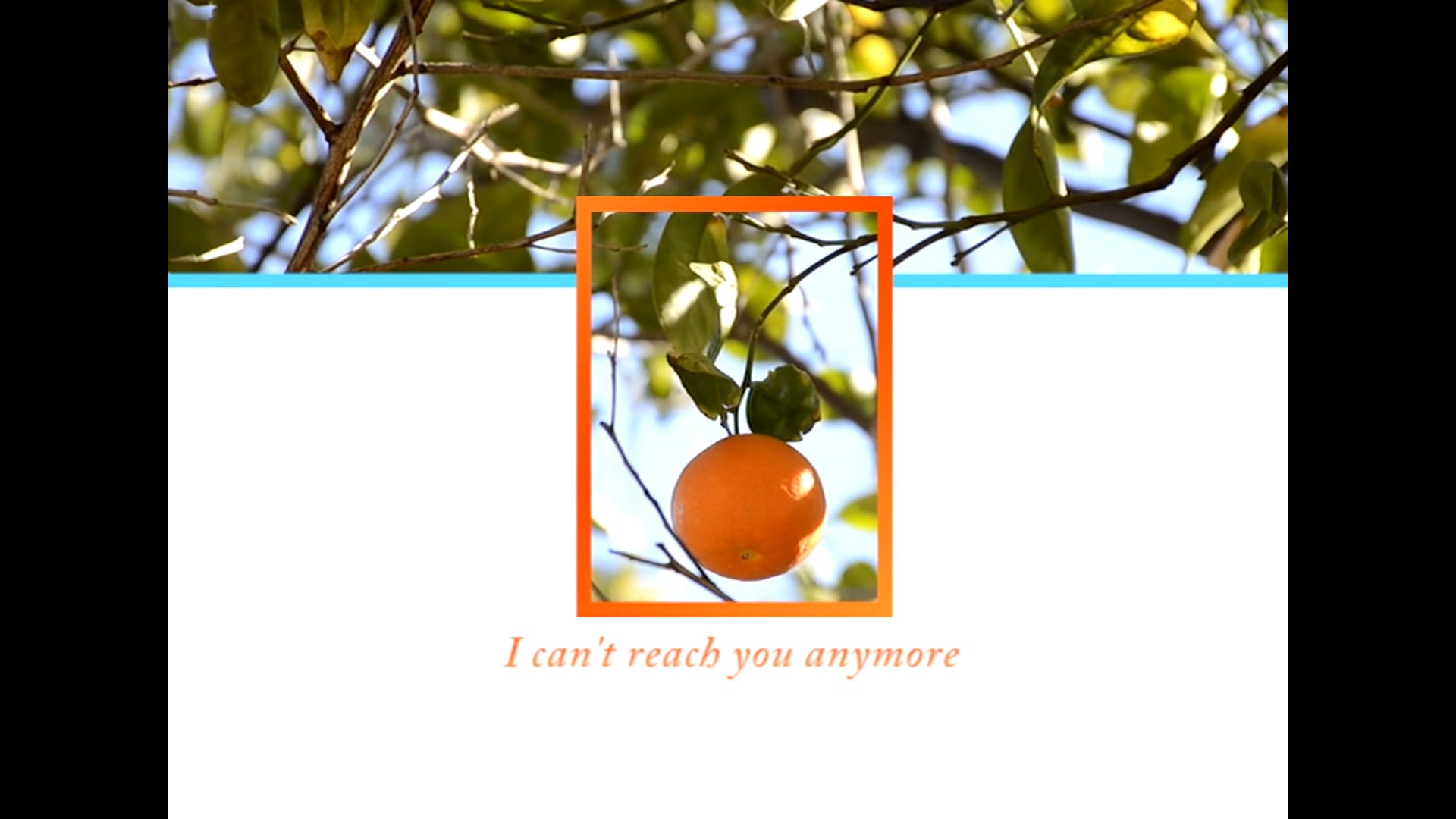 Orange, 2018