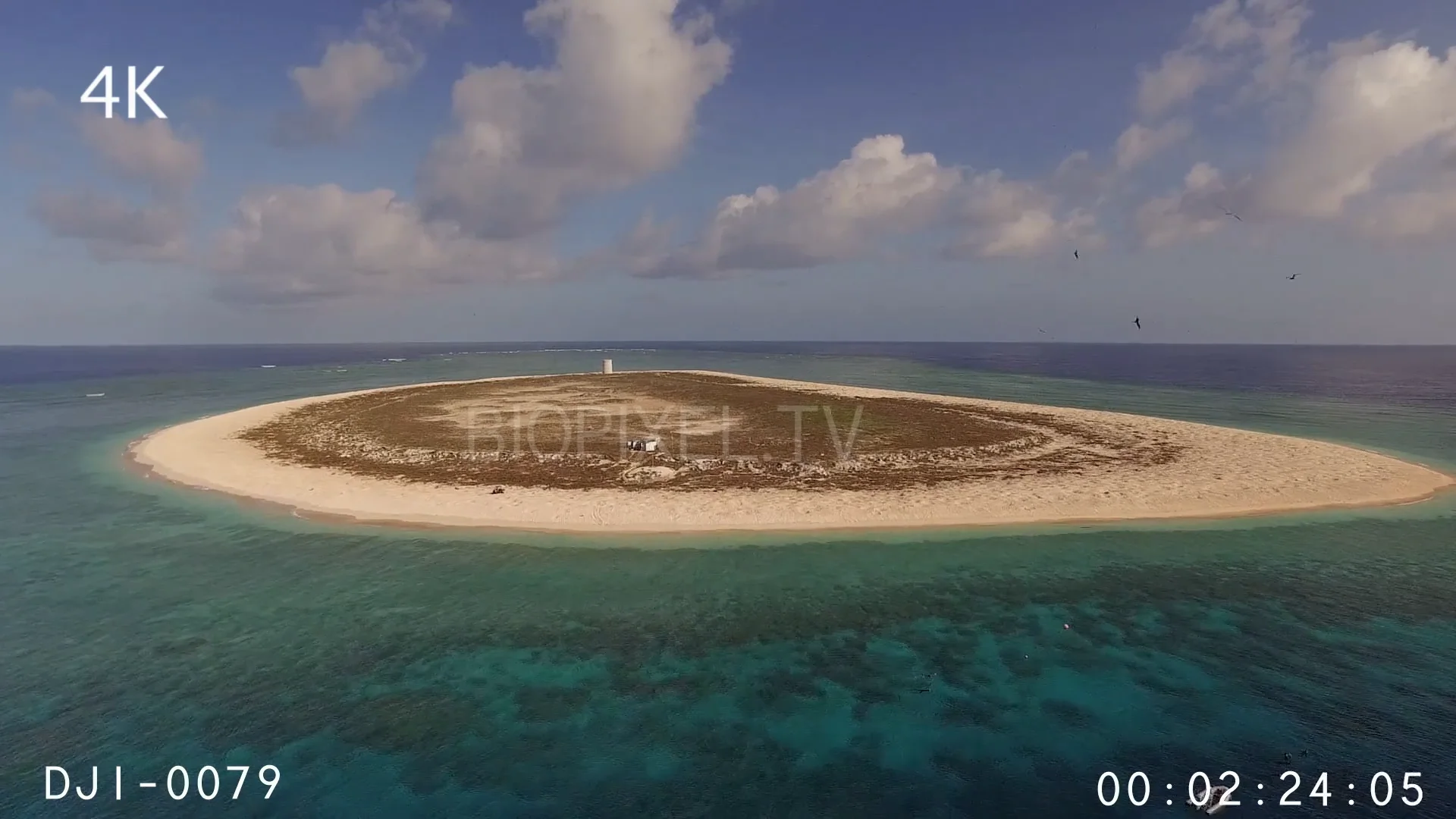 4K Green Sea Turtles Nesting - Aerial - Raine Island dry season 4K on Vimeo