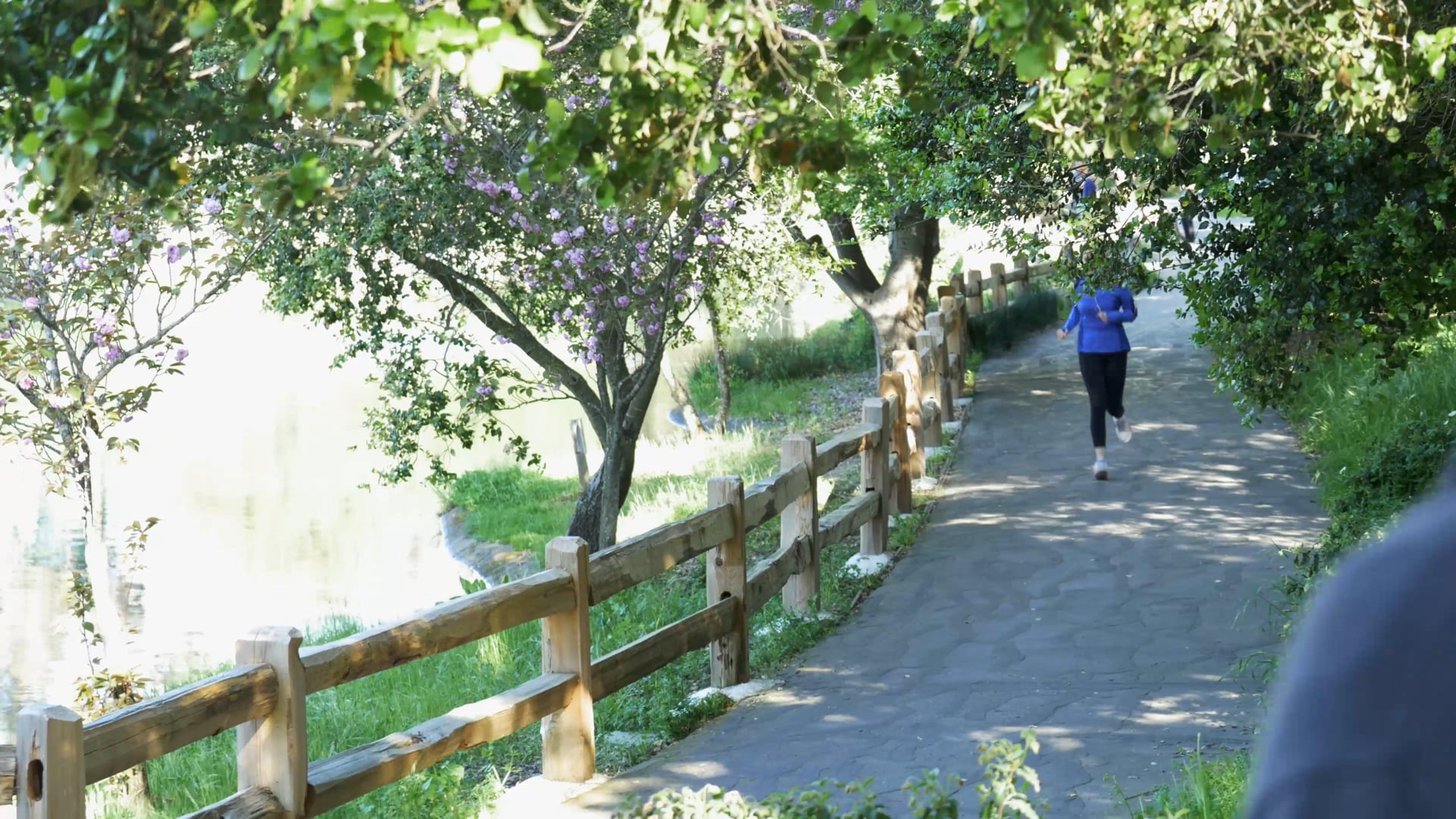 Trail Past Prejudice Teaser